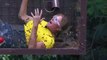 I'm a Celebrity, Get Me Out of Here! - S19E02 - November 18, 2019 || I'm a Celebrity, Get Me Out of Here! (11/18/2019)