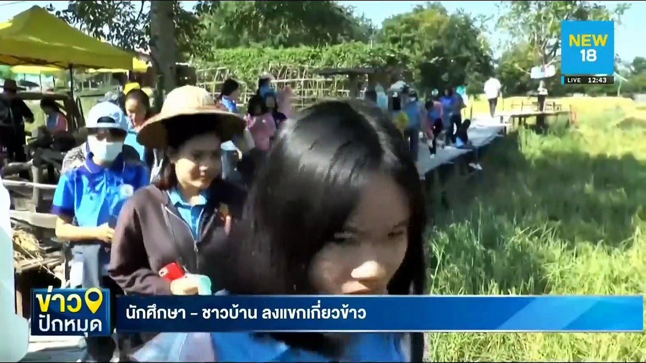 นักศึกษา - ชาวบ้าน ลงแขกเกี่ยวข้าว | NEW18