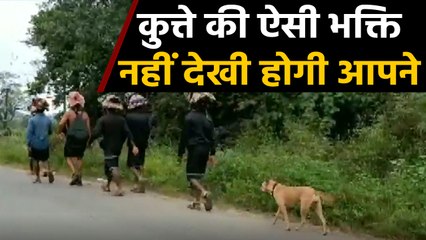 Sabarimala तीर्थयात्रा पर निकला Dog, 480 किलोमीटर की यात्रा पूरी, Viral video |वनइंडिया हिंदी