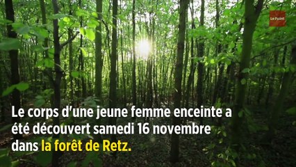 Aisne : décès d'une femme enceinte attaquée par des chiens