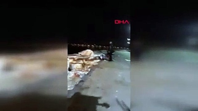 Yenikapı ve Zeytinburnu sahillerinde su samurları görüntülendi