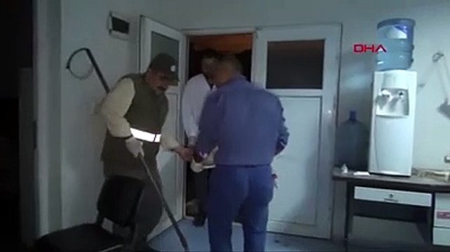 Aracın çarpığı sokak köpeği için seferber oldular