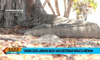 Pulau Komodo Tahun 2020 Jadi Wisata Super Premium