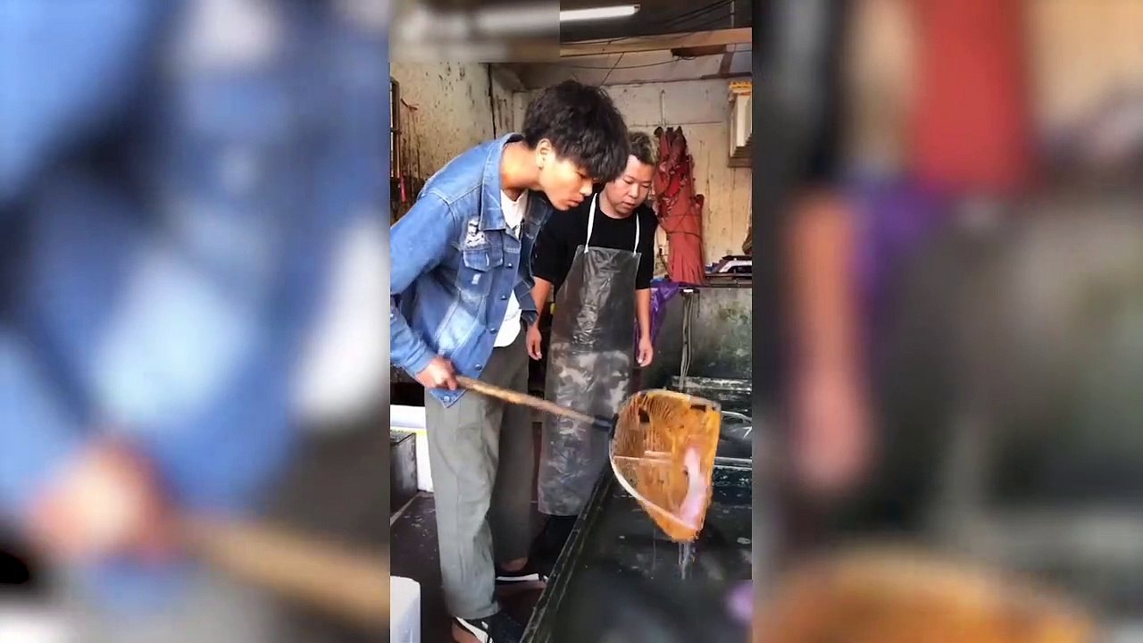 这条鱼我要了狗万短视频