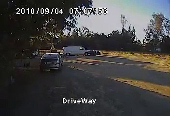 Un coyote s'en prend à un chiot mais regardez qui vient à son secours