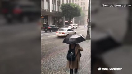 Cars, buses and people; everyone's getting pelted with hail