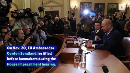 Gordon Sondland Makes A$AP Rocky Focal Point of Impeachment Hearing