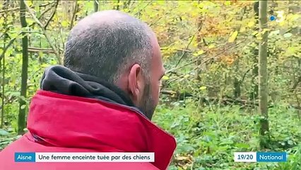 "Elle m'a dit qu'elle se faisait mordre aux jambes" : le témoignage du compagnon d'Élisa, tuée par des chiens dans l'Aisne