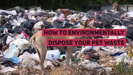 Biodegradable Dog Poop Bag Wholesale