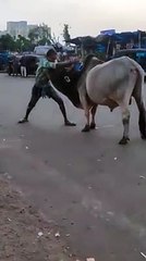 original the real bahubali