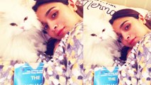Alia Bhatt shares adorable photo with her floofy cat | FilmiBeat