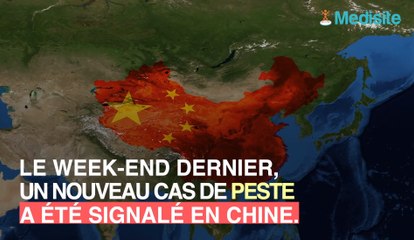 Peste : un homme la contracte après avoir mangé du lapin sauvage !