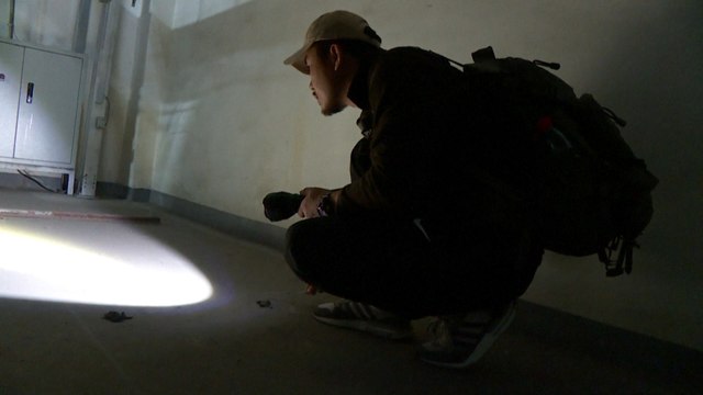 Chinese pet detective helps reunite lost furry friends with owners