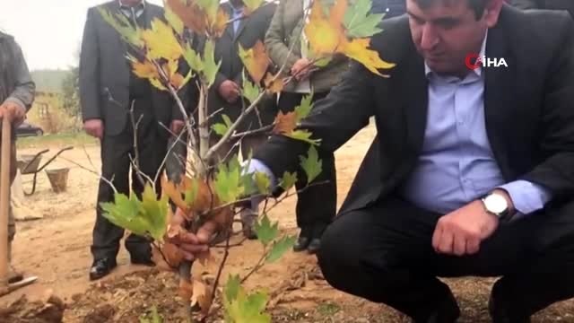 Yıldız Kenter'in adı Sonsuz Şükran Köyü'nde yaşatılacak