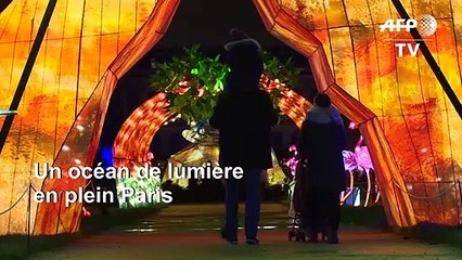 Un océan de lumière déferle au Jardin des plantes pour Noël