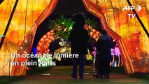 Un océan de lumière déferle au Jardin des plantes pour Noël
