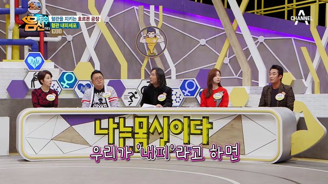 혈관을 지키는 호르몬 공장! '혈관 내피세포'가 건강을 좌우한다?!