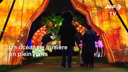 Un océan de lumière déferle au Jardin des plantes pour Noël