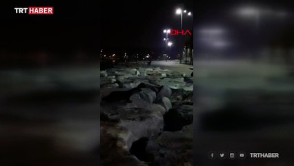 Su samurları Yenikapı ve Zeytinburnu sahillerinde görüntülendi