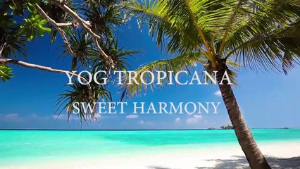 Yog Tropicana - Sweet harmony