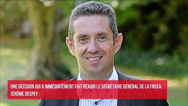 Les actualités Auto de la semaine 19112019