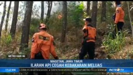 Kebakaran di Gunung Lawu Berhasil Padam