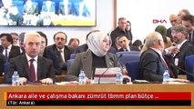 Ankara aile ve çalışma bakanı zümrüt tbmm plan bütçe komisyonunda konuştu-1