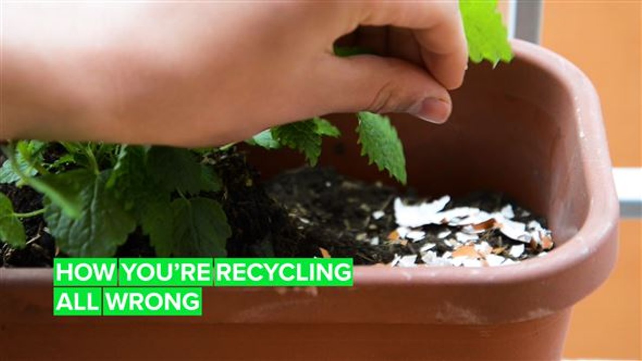 Here's how you SHOULD be recycling toilet paper rolls