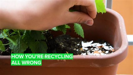 Here's how you SHOULD be recycling toilet paper rolls