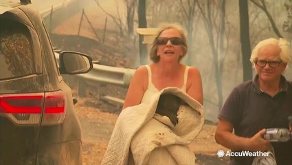 Woman takes shirt off her own back to rescue burning koala