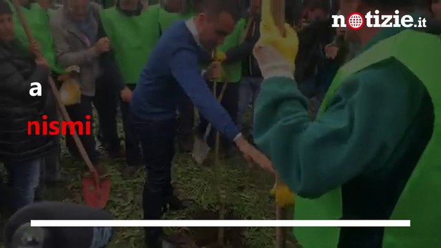 Parlamento, M5s valuta modifiche al reddito di cittadinanza | Notizie.it