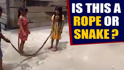 Vietnamese kids play with giant deadly snake | Oneindia News