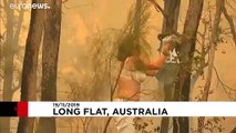 Woman endangers herself to rescue scorched koala from Australian bushfire