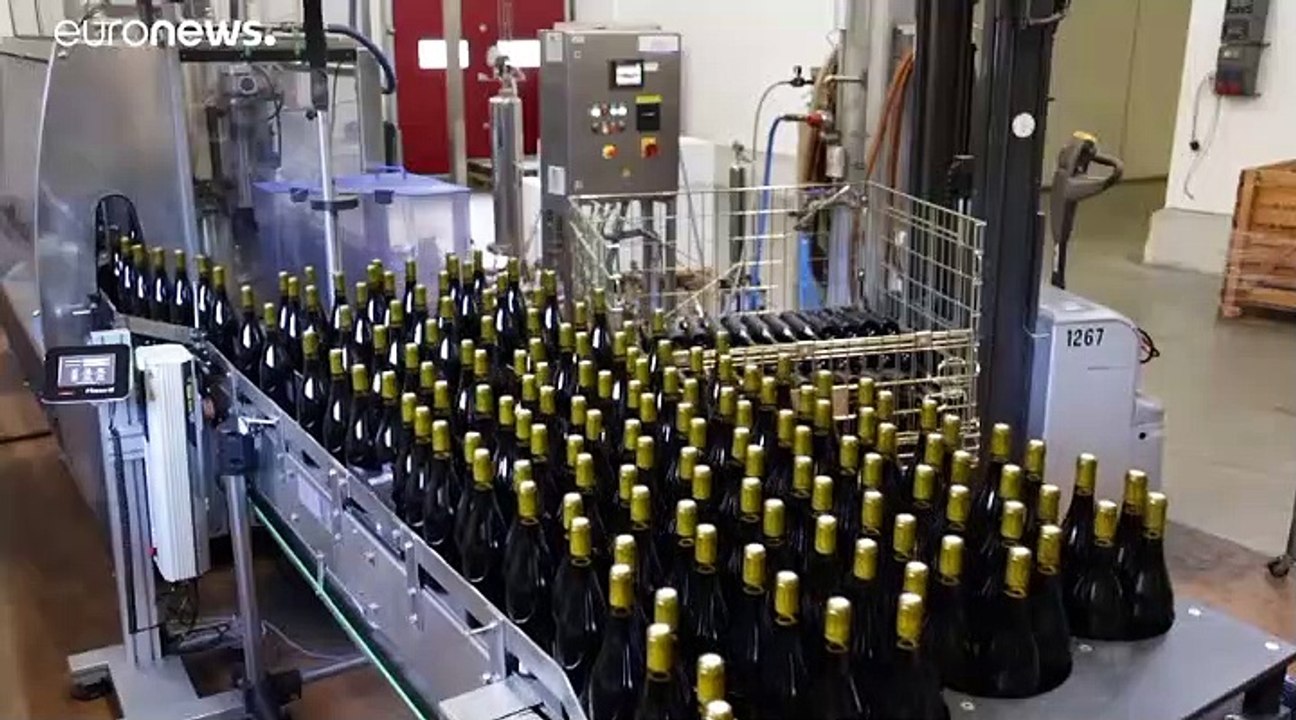 Beaujolais Nouveau: US-Strafzölle und Brexit trüben Freude