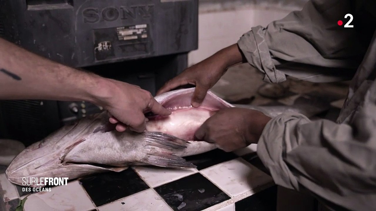 AVANT-PREMIERE: Découvrez les premières images de "Sur le front ", la nouvelle émission présentée par Hugo Clément - VIDEO
