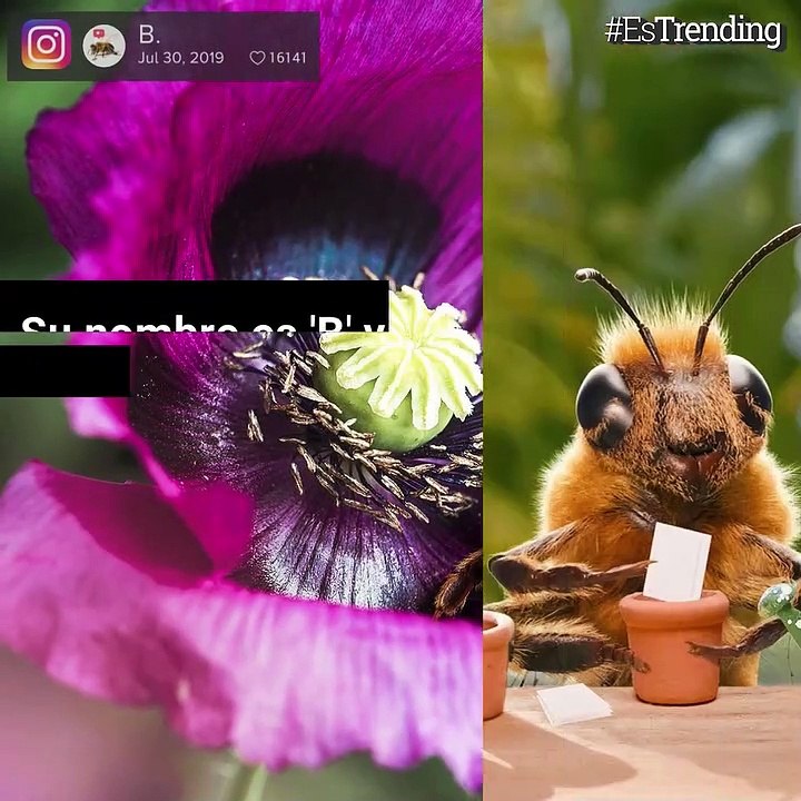'B', la abeja influencer