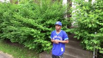DETROIT EAST SIDE HOOD  INTERVIEW WITH MEECH ICEWOOD