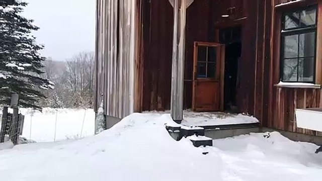 Ces canards n'ont pas vraiment apprécié le froid et la neige !
