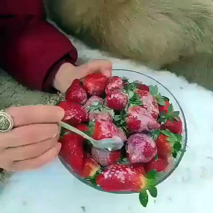 Un ours qui mange des fraises préparées par une femme