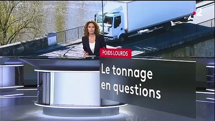 Effondrement d'un pont à Mirepoix-sur-Tarn : comment les chauffeurs de poids lourds préparent-ils leur itinéraire ?