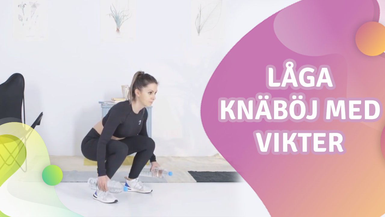 Låga knäböj med vikter - Steg för Hälsa