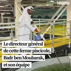 VIDÉO. À Dubai, on élève des saumons au milieu du désert
