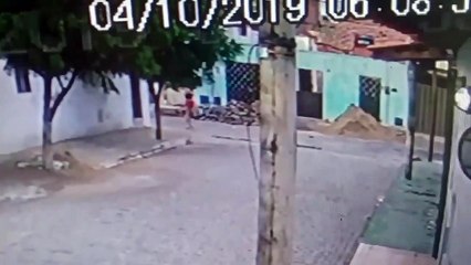 Husband Tries to Hide in Trees