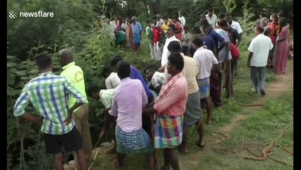 Pregnant cow rescued from 40-foot-deep well in south India