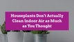 Houseplants Don’t Actually Clean Indoor Air as Much as You Thought