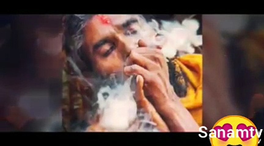 Best charsi songs Asan yar mawali lok jo han