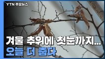 [날씨] 겨울 추위에 첫눈까지...오늘 더 춥다 / YTN