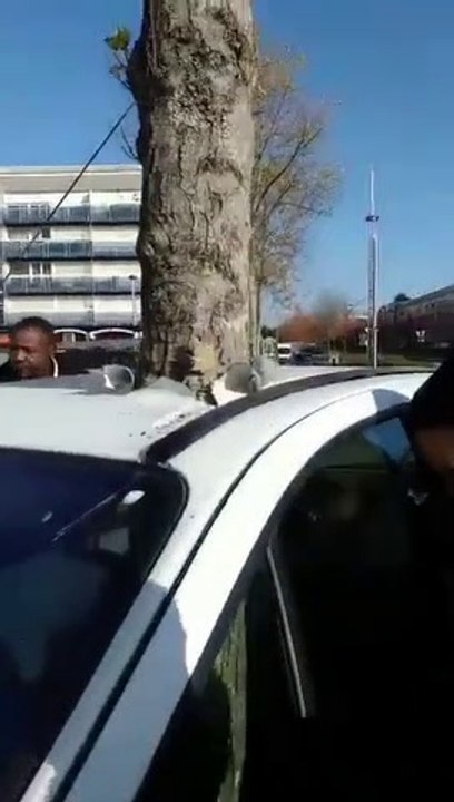 Comment cet arbre a pu se retrouver au travers d'un voiture à Nantes?
