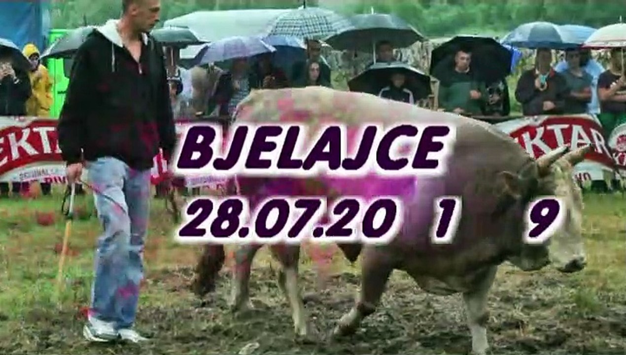 BRIZAN SARONJA BJELAJCE 2019