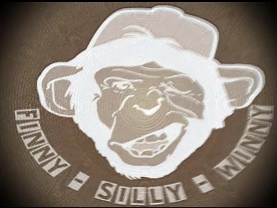 FSWMIX